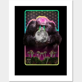 Stoned Ape Theory | Mushrooms | Psychedelic Gift | Evolution Posters and Art